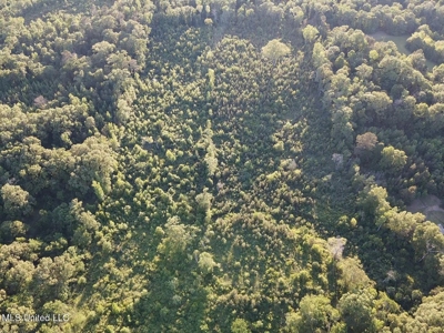 Great Homesite in Utica, MS Hinds County - image 16