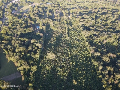 Great Homesite in Utica, MS Hinds County - image 14