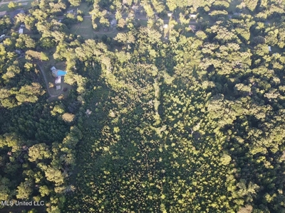 Great Homesite in Utica, MS Hinds County - image 10