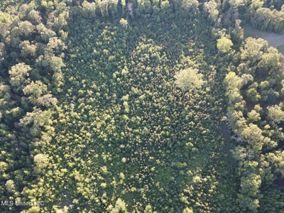 Great Homesite in Utica, MS Hinds County - image 18