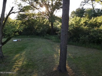 Great Homesite in Utica, MS Hinds County - image 3