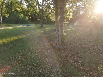 Great Homesite in Utica, MS Hinds County - image 6