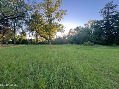 Great Homesite in Utica, MS Hinds County - image 1