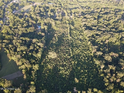 Great Homesite in Utica, MS Hinds County - image 13