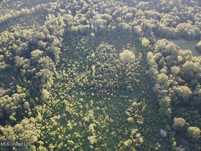 Great Homesite in Utica, MS Hinds County - image 17