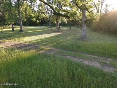Great Homesite in Utica, MS Hinds County - image 8