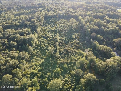 Great Homesite in Utica, MS Hinds County - image 19