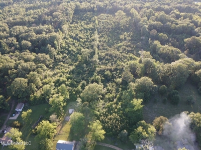 Great Homesite in Utica, MS Hinds County - image 21