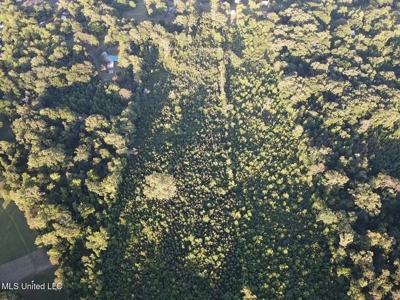 Great Homesite in Utica, MS Hinds County - image 15