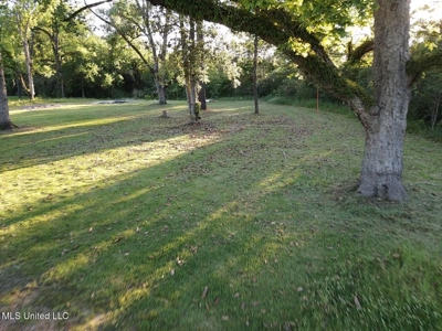 Great Homesite in Utica, MS Hinds County - image 7