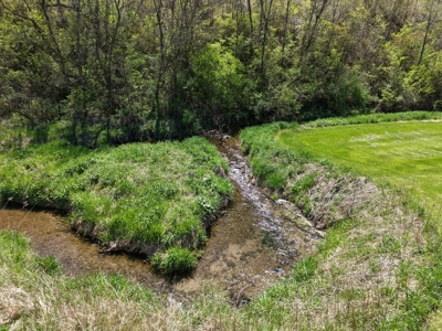 Country Estate in SW Wisconsin on 100 Acres W/ Trout Stream - image 35
