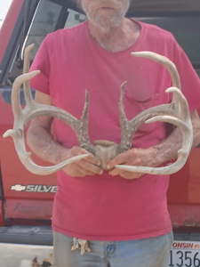 Country Estate in SW Wisconsin on 100 Acres W/ Trout Stream - image 37