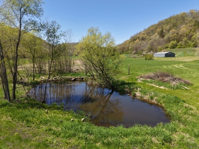 Country Estate in SW Wisconsin on 100 Acres W/ Trout Stream - image 36