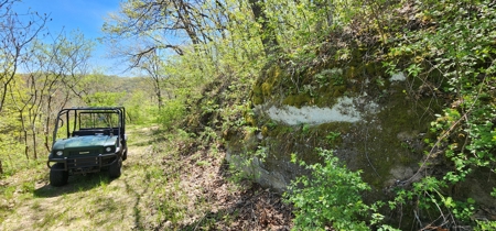 Country Estate in SW Wisconsin on 100 Acres W/ Trout Stream - image 39