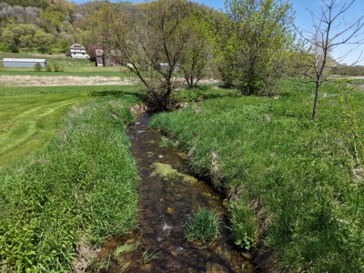 Country Estate in SW Wisconsin on 100 Acres W/ Trout Stream - image 34