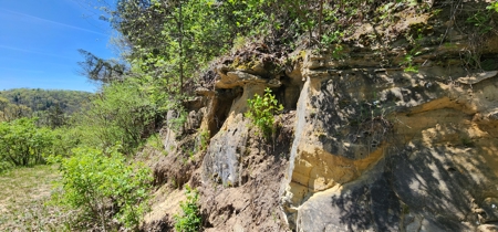 Country Estate in SW Wisconsin on 100 Acres W/ Trout Stream - image 38