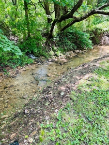 BEAUTIFUL CABIN ON 30 m/l ACRES IN EMINENCE MISSOURI - image 28