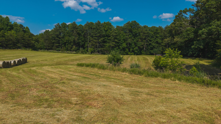Land for Sale in the City of Elkin NC - image 14