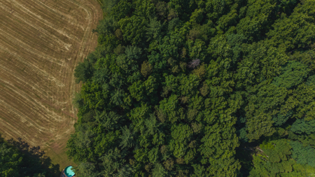 Land for Sale in the City of Elkin NC - image 2