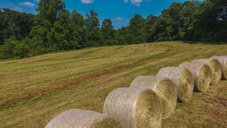 Land for Sale in the City of Elkin NC - image 11