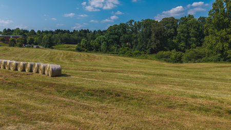 Land for Sale in the City of Elkin NC - image 8