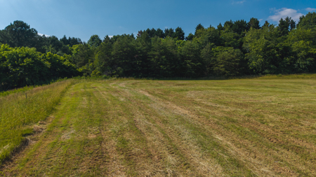 Land for Sale in the City of Elkin NC - image 13