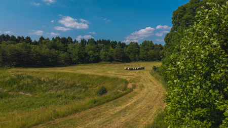 Land for Sale in the City of Elkin NC - image 12