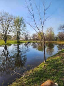 Country Home for Sale in Neosho County, Kansasz - image 5