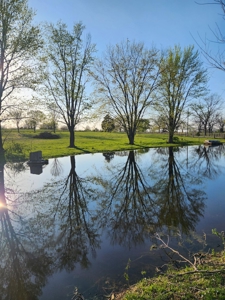 Country Home for Sale in Neosho County, Kansasz - image 6
