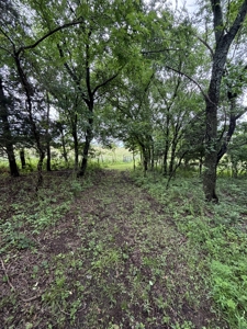 Country Home for Sale in Neosho County, Kansasz - image 13