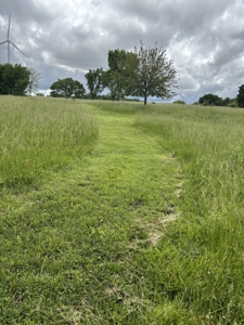Country Home for Sale in Neosho County, Kansasz - image 12