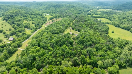 Country Home for Sale in Maury County, Tennessee - image 46