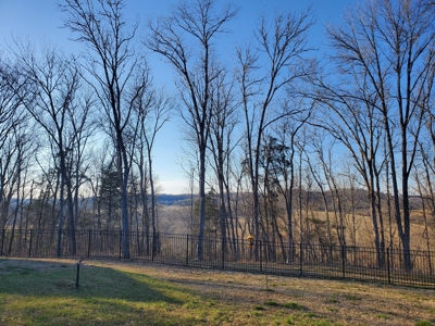 Country Home for Sale in Maury County, Tennessee - image 48
