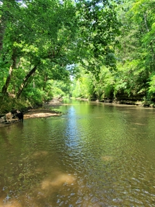 Country Home for Sale in Maury County, Tennessee - image 3