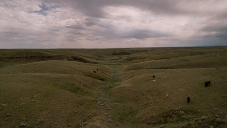 Alkali Creek Ranch | Phillips County, Montana - image 4