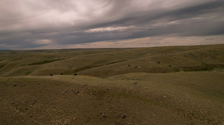 Alkali Creek Ranch | Phillips County, Montana - image 13