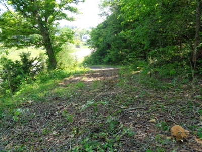 2 Homes on 1.8 Acres for sale in Grainger County, TN - image 34