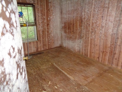 2 Homes on 1.8 Acres for sale in Grainger County, TN - image 29