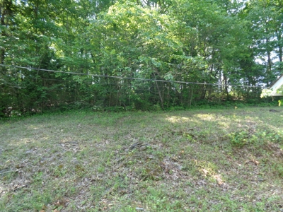2 Homes on 1.8 Acres for sale in Grainger County, TN - image 16