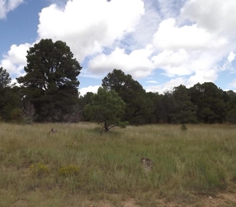 20 Acres in Sandia Foothills – Private & Scenic Land - image 1