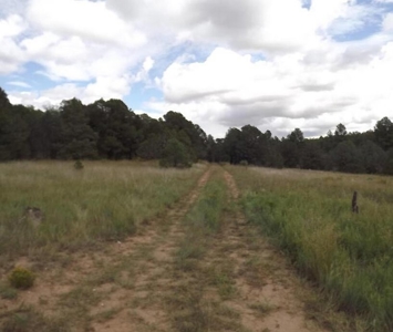 20 Acres in Sandia Foothills – Private & Scenic Land - image 3