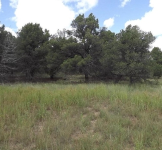 20 Acres in Sandia Foothills – Private & Scenic Land - image 2