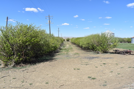 Home and large shop on 20+ acres in Montana - image 38