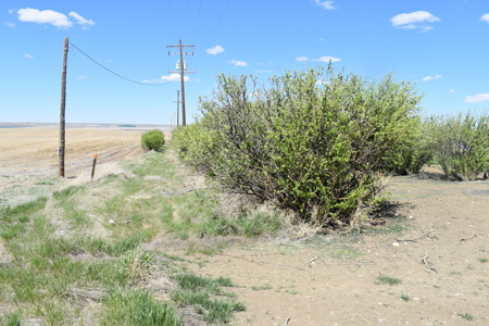 Home and large shop on 20+ acres in Montana - image 39