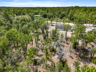 Home For Sale on 1.25 Acres in Levy County! - image 3