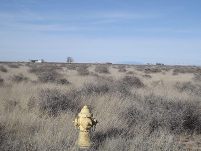 2-Acre Homesites in Estancia – Utilities at Lot Line - image 2