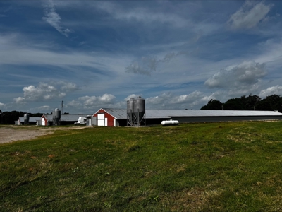 Income Producing Texas Poultry Farm in Winnsboro Texas - image 16