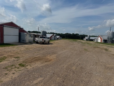 Income Producing Texas Poultry Farm in Winnsboro Texas - image 6