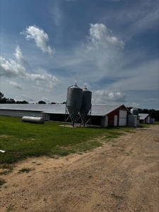 Income Producing Texas Poultry Farm in Winnsboro Texas - image 14