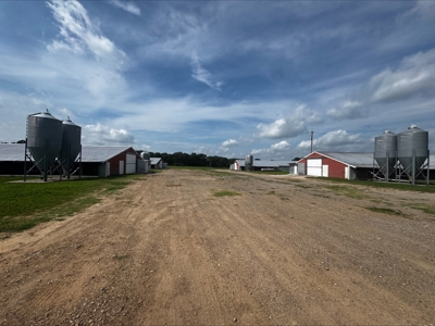 Income Producing Texas Poultry Farm in Winnsboro Texas - image 8